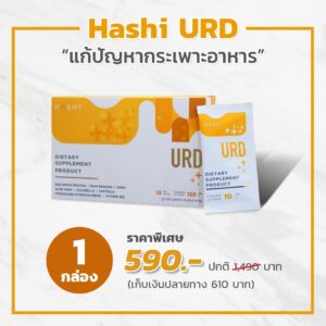 ราคา Promotion Hashi URD ฮาชิ ยูอาร์ดี