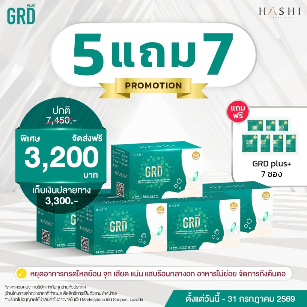 Promotion Hashi GRD