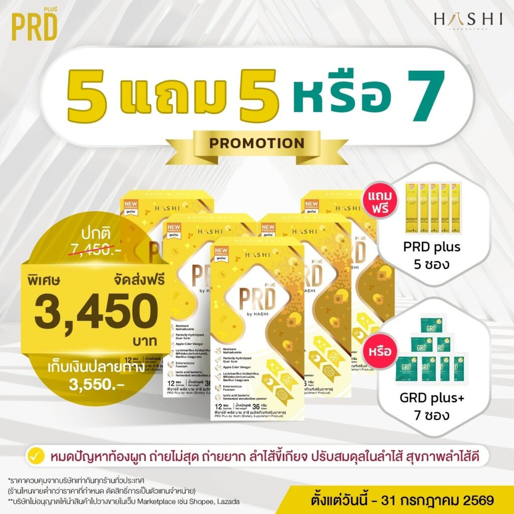 Promotion Hashi PRD