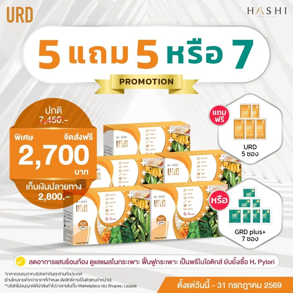 Promotion Hashi URD